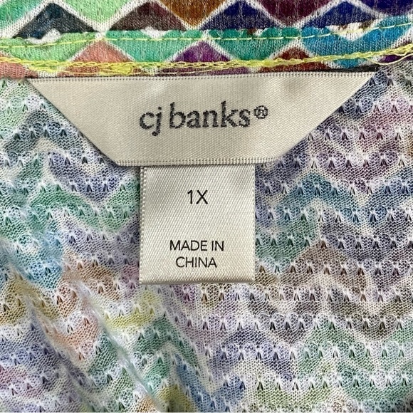 CJ Banks Chevron Multi Color Tunic Top Shirt Size 1X - Picture 7 of 8